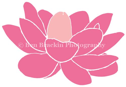 Nelumno Erectus by Ben Brackin