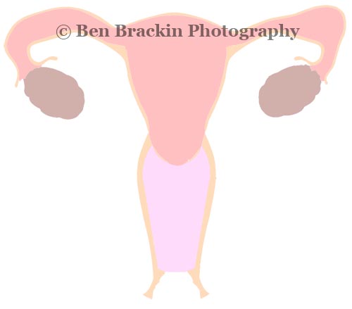 Woman Business by Ben Brackin